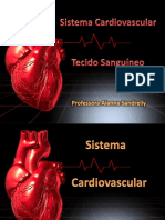 Cardiovascular . Sangue
