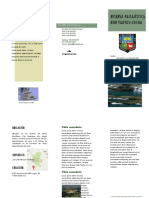 triptico rpnyc.docx