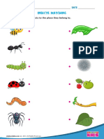 8 Match-Insects PDF