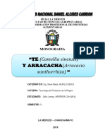 Monografia de Te y Arracacha