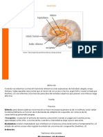 Emoción Cartilla