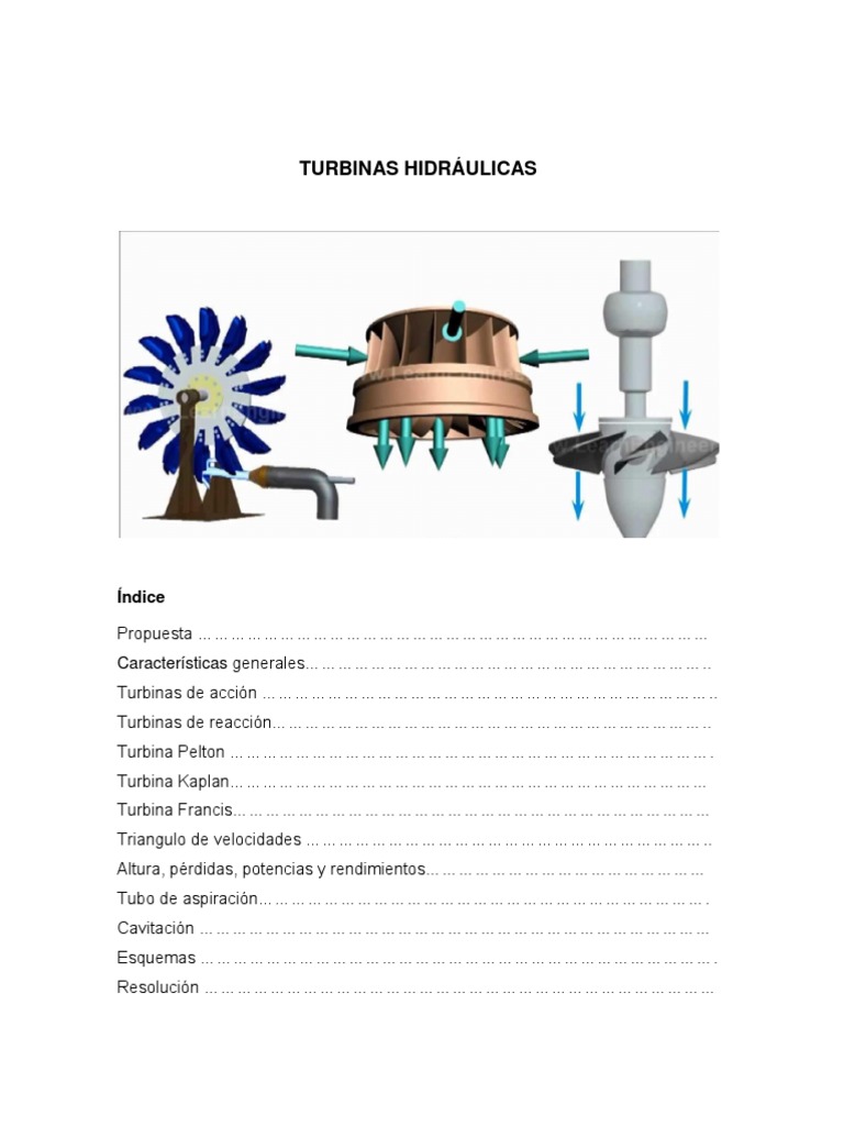 Turbinas Hidraulicas. Funcionamiento y Tipos: Francis, Kaplan, Pelton.