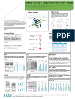 The Ubiquitin Code: Deciphering The Meaning of Ubiquitin and Its Circadian Linkages