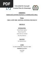 Grupo 1 - Tecnicas Radiograficas (Aleta de Mordida - Oclusal - de ...