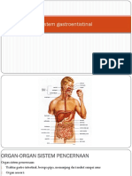 11._Sistem_Digestif_.pdf