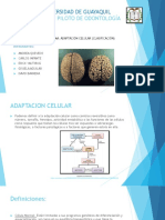3-5 PatologíaG. Adaptación Celular