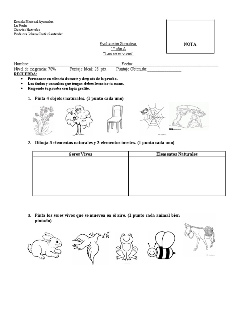 Evaluación de Seres Vivos para 1° Grado | PDF | Salud y bienestar