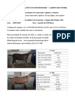 Cabras Leilão IFET Rio Pomba