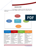 Analiza Step (4).docx