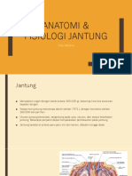 Anatomi & fisiologi jantung - Copy.ppt