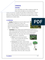 244647138 Reino Vegetal PDF