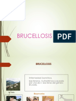 Brucelosis en niños: causas, síntomas y tratamiento