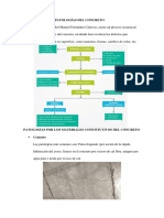 Tipos de Patologías