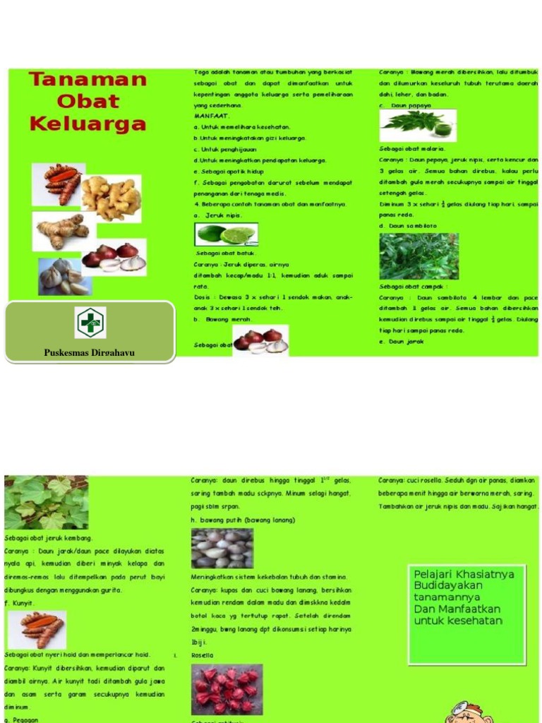 Leaflet Tanaman Obat Keluarga Pdf