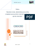 proyecto_EXPORTACION_DE_CHOCHO.doc.doc