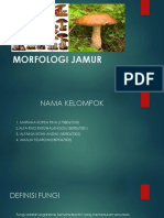 Morfologi Jamur - Akademi Farmasi Indonesia YK - Kel 1 - 2A