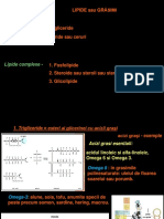 Lipide Sau Grasimi