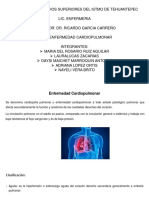 Enfermedad cardiopulmonar: clasificación, causas e implicaciones