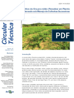 Cultivo de Ora-Pro-Nóbis PDF