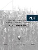 Cultivo de MAIZ