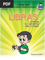 Explicação Libras