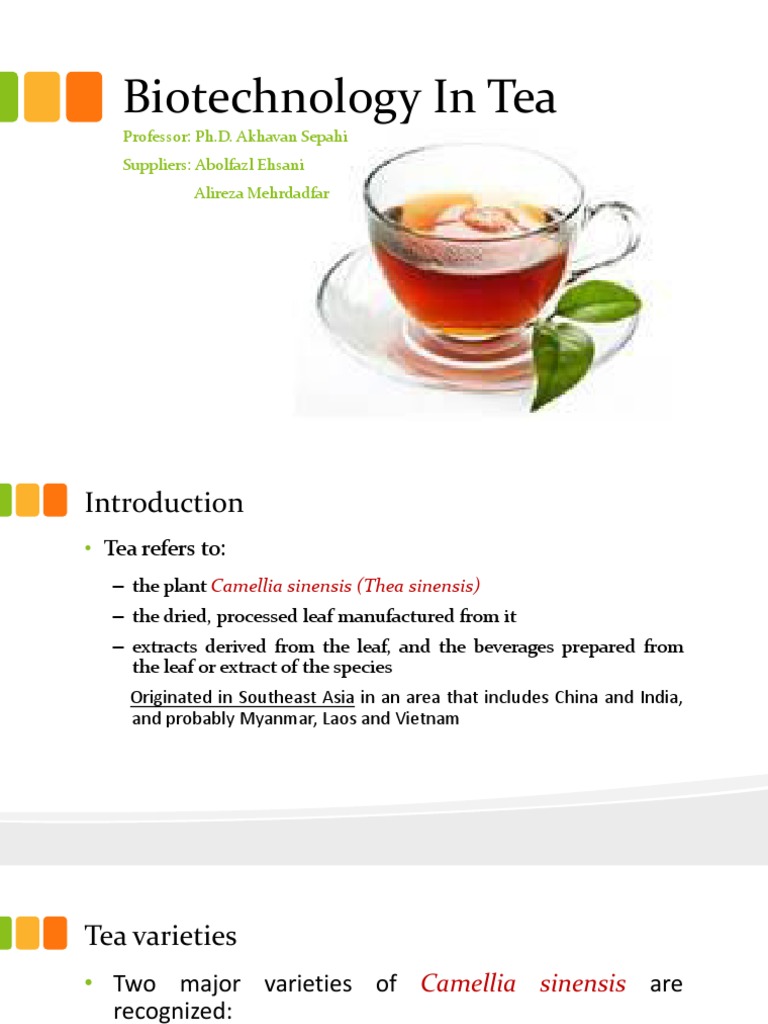 Biotechnology in Tea Production | PDF | Flavonoid | Biochemistry