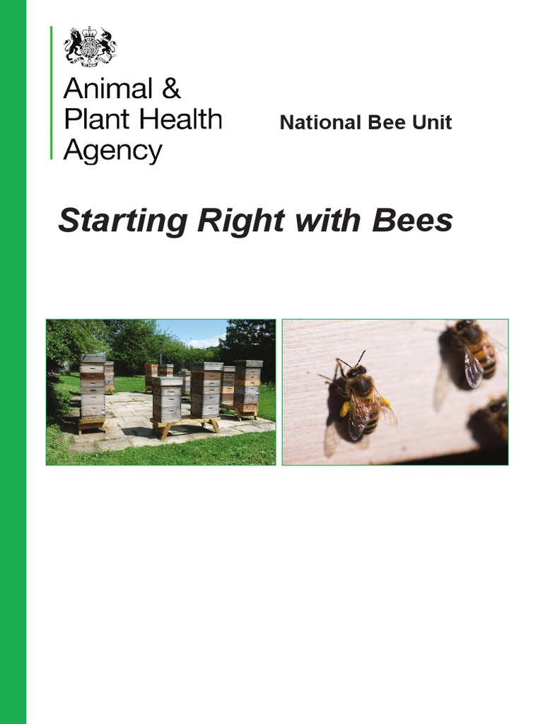 Starting Right With Bees | PDF | Honey Bee | Beehive