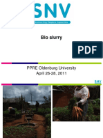 Bio Slurry: PPRE Oldenburg University April 26-28, 2011