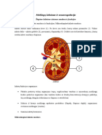 Medžiagų Šalinimas Ir Osmoreaguliacija