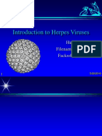 Introduction To Herpes Viruses: Hugh B. Fackrell Filename: Herpes1.ppt Fackrel@uwindsor - Ca