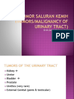 Kuliah Tumor Revisi