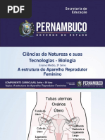 A Estrutura Aparelho Reprodutor Feminino