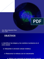 Teorico-5-Ciclo-celular-Mitosis.pdf
