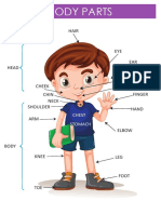 Plansa - Body Parts PDF