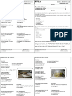 Informe de Fluidos