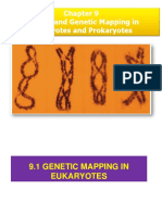 Chapter 9-Linkage and Genetic Mapping in Eukaryotes