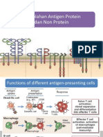 Pengolahan Antigen Protein Dan Non Protein