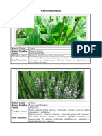 Plantas medicinales y sus propiedades terapéuticas