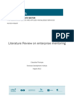 Literature Review on Enterprise Mentoring 1