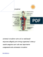 Anatomia Si Fiziologia Sistemul Circulator