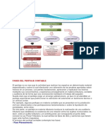 Fases Del Peritaje Contable