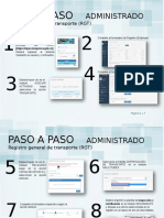 PASO A PASO RGT (Administrado) PDF