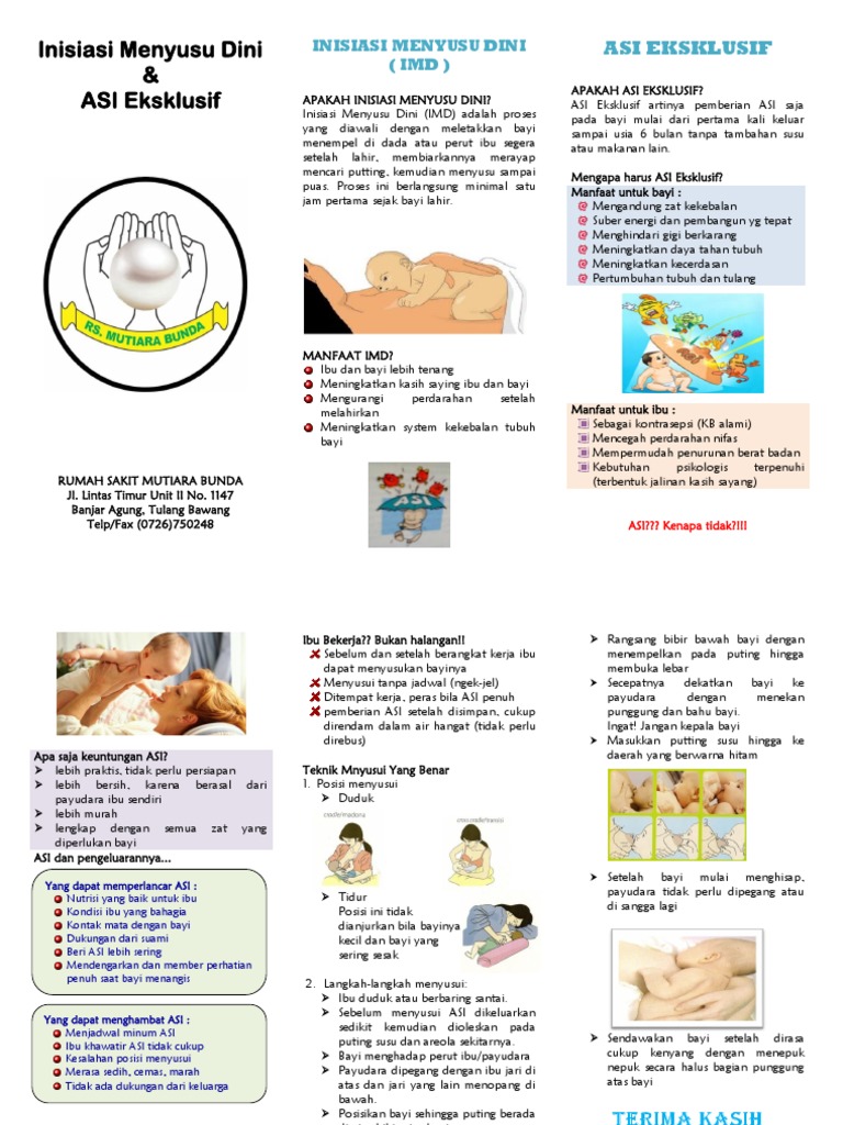 Leaflet Asi Eksklusif Imd Pdf