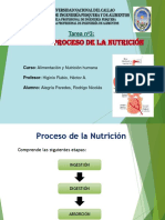 TAREA 2 y 3 NUTRICIÓN