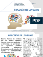 Neurofisiología del lenguaje