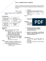 Practica #8 Cambios Físicos y Quimicos