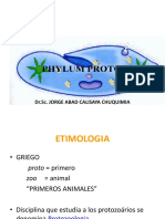 Protozoarios Ok