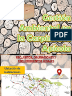 Presentación 5 - Gestión Ambiental en Carpintería Apícola