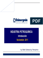 Petroquimica-2011.pdf