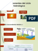 Componentes Del Ciclo Hidrológico